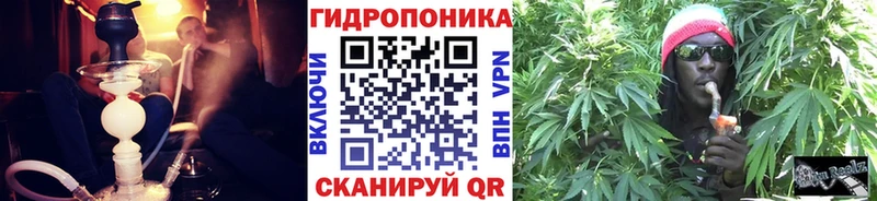 Купить закладку Каннабис  A-PVP  Меф  Кедровый