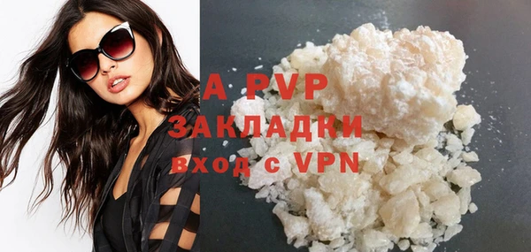 СК Новосибирск