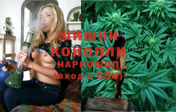 PSILOCYBIN Инта