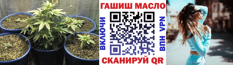 Дистиллят ТГК THC oil  Купить  Кедровый 