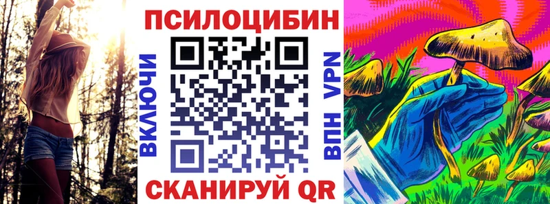 Купить закладки  Кедровый  Галлюциногенные грибы MAGIC MUSHROOMS 