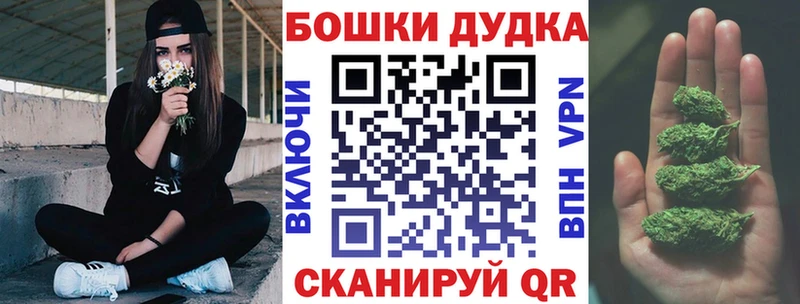 Бошки Шишки план  Купить закладки  Кедровый 